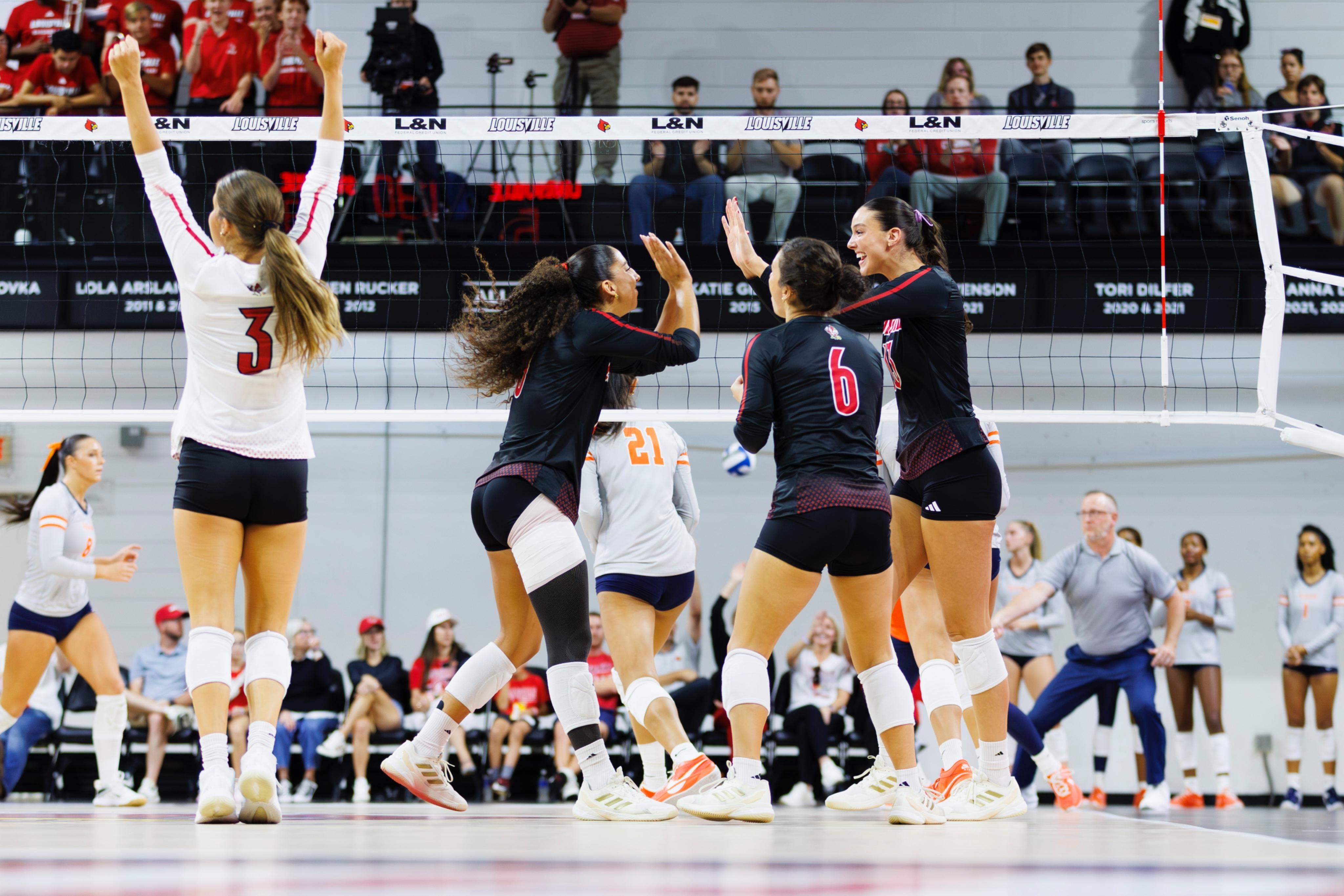 Louisville Volleyball